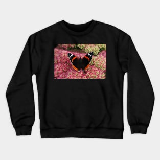 Red Admiral Crewneck Sweatshirt